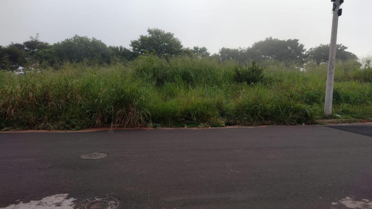 Foto 2 de 7 — “O bairro está abandonado”, desabafa moradora do Valle Verde